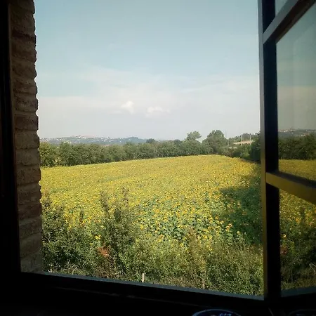 Affittacamere La Corte Degli Ulivi * Foiano Della Chiana