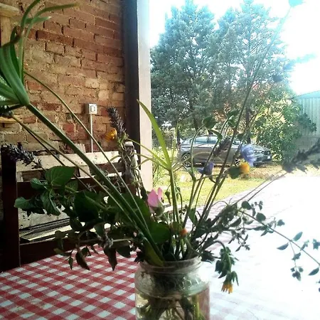 Bed and breakfast Affittacamere La Corte Degli Ulivi Foiano Della Chiana