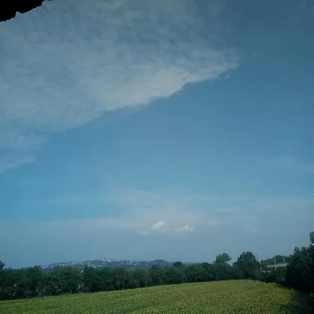 Affittacamere La Corte Degli Ulivi