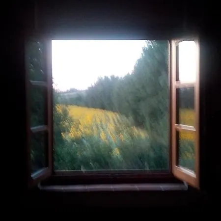 Bed and breakfast Affittacamere La Corte Degli Ulivi *
