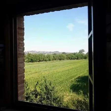Affittacamere La Corte Degli Ulivi * Foiano Della Chiana
