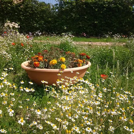Affittacamere La Corte Degli Ulivi Bed and breakfast