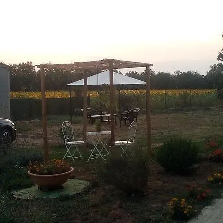 Bed and breakfast Affittacamere La Corte Degli Ulivi Foiano Della Chiana