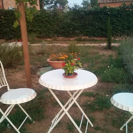 Affittacamere La Corte Degli Ulivi Foiano Della Chiana