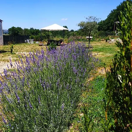 Affittacamere La Corte Degli Ulivi Bed and breakfast